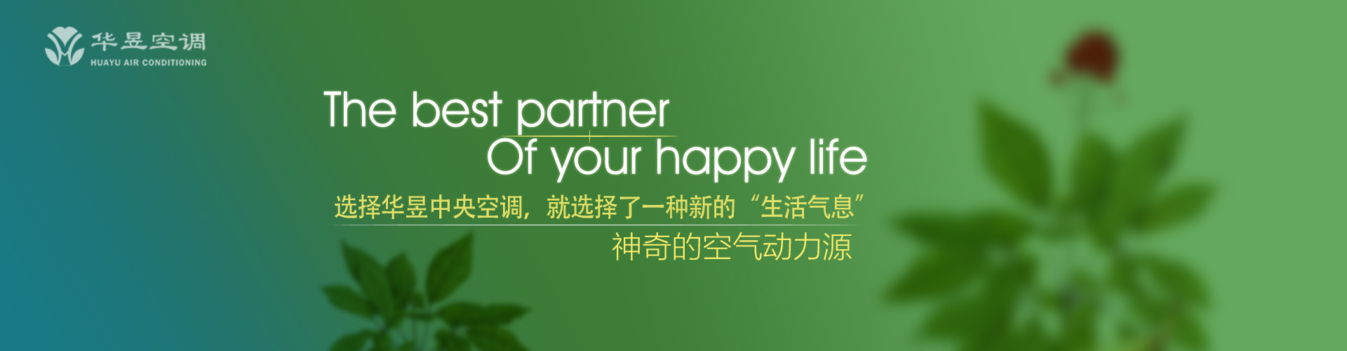 百依百随网